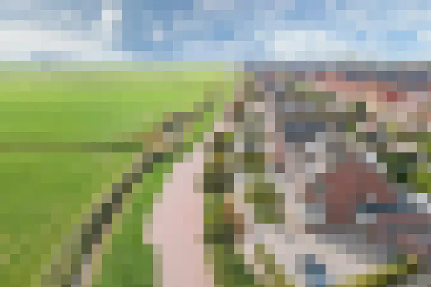 Boontjes 28 Harlingen thumbnail 41