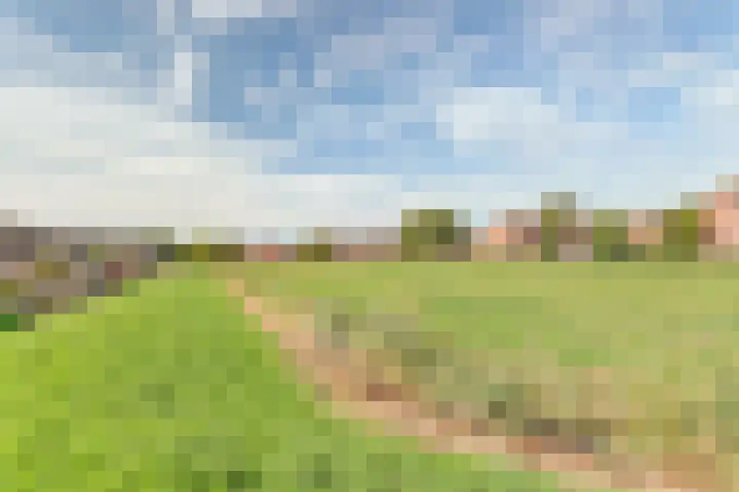 Boontjes 28 Harlingen thumbnail 42