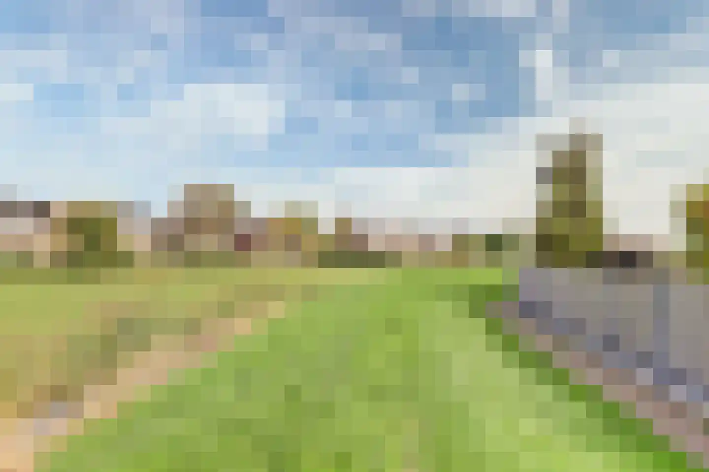Boontjes 28 Harlingen thumbnail 43