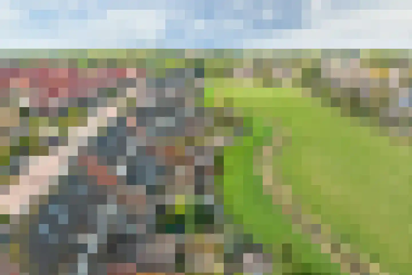 Boontjes 28 Harlingen thumbnail 8