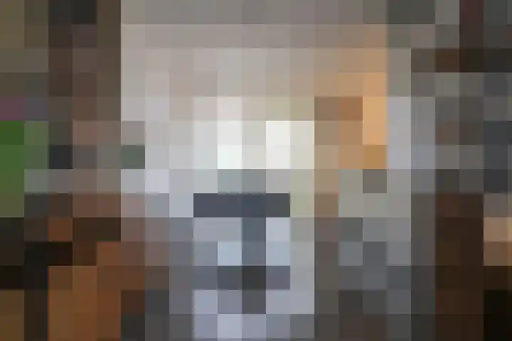 Boontjes 4 Harlingen thumbnail 16