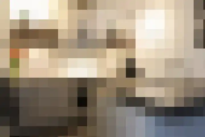 Boontjes 4 Harlingen thumbnail 21