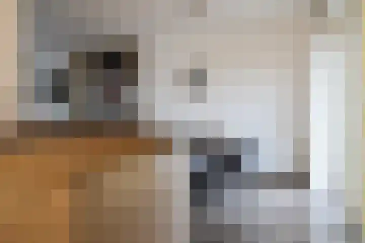 Boontjes 4 Harlingen thumbnail 22