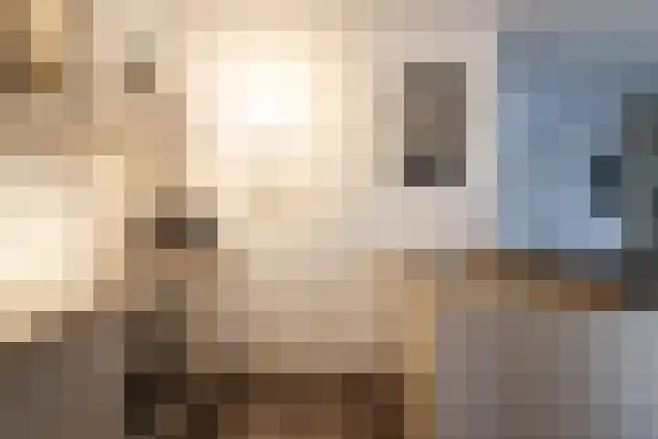 Boontjes 4 Harlingen thumbnail 23