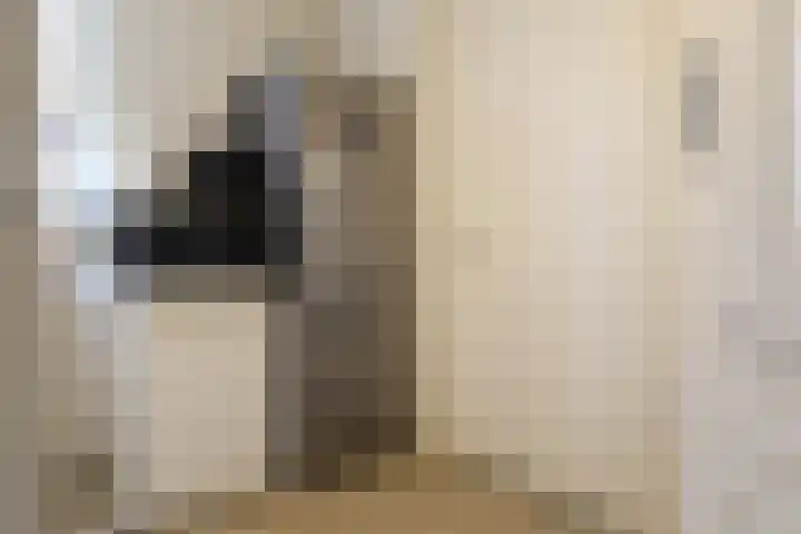 Boontjes 4 Harlingen thumbnail 25