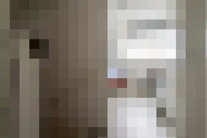 Boontjes 4 Harlingen thumbnail 31