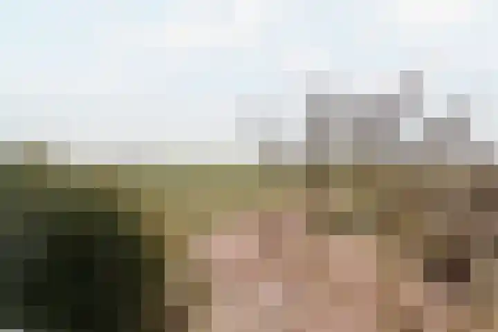 Boontjes 4 Harlingen thumbnail 33