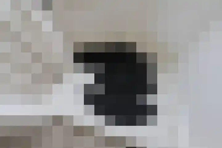 Boontjes 4 Harlingen thumbnail 41