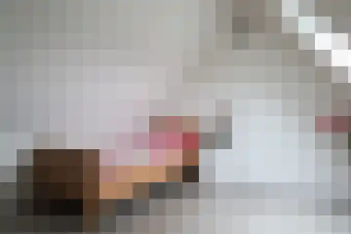Boontjes 4 Harlingen thumbnail 44