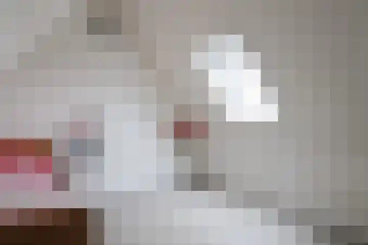 Boontjes 4 Harlingen thumbnail 45
