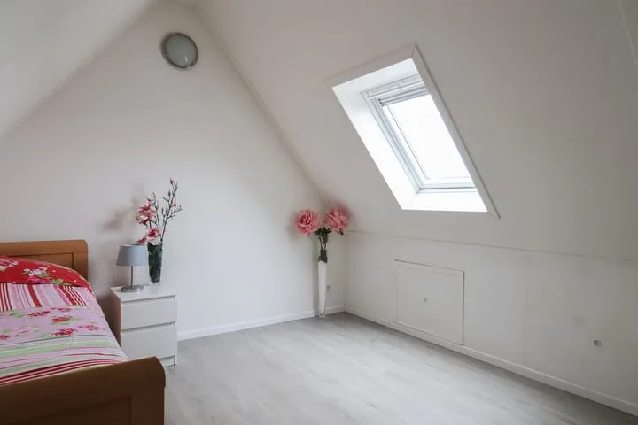 Boontjes 4 Harlingen thumbnail 45