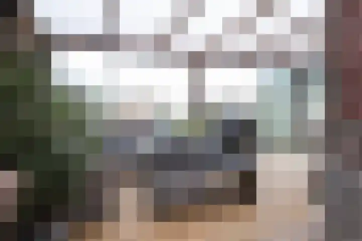 Boontjes 4 Harlingen thumbnail 48