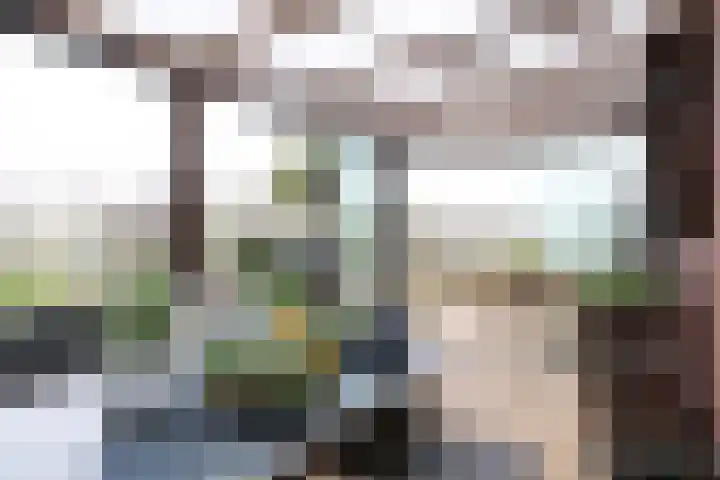 Boontjes 4 Harlingen thumbnail 49