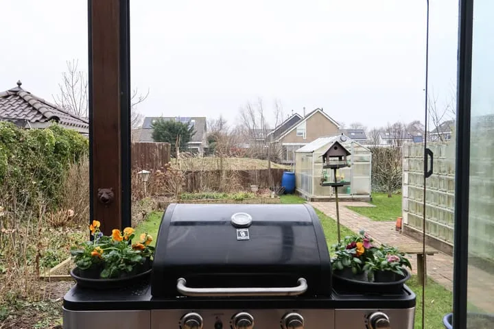 Boontjes 4 Harlingen thumbnail 50