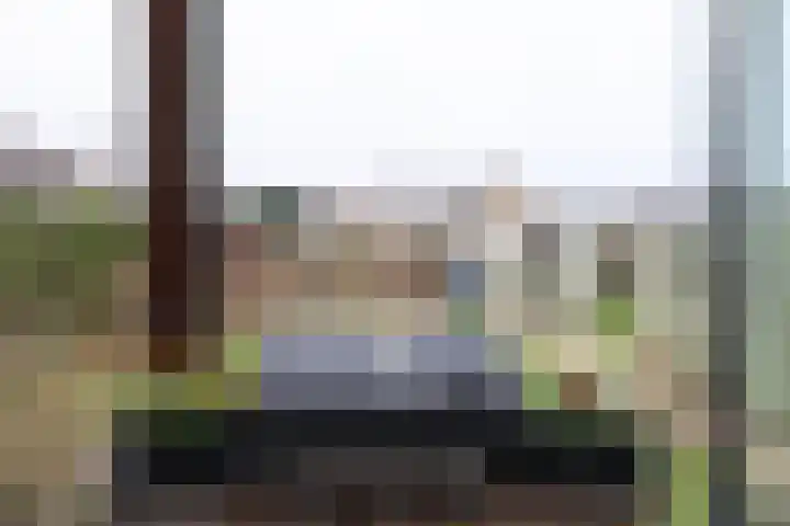 Boontjes 4 Harlingen thumbnail 50
