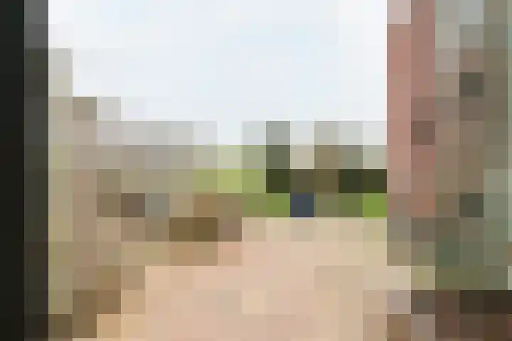Boontjes 4 Harlingen thumbnail 51