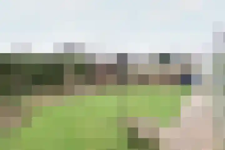 Boontjes 4 Harlingen thumbnail 53