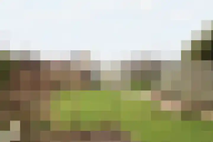 Boontjes 4 Harlingen thumbnail 54