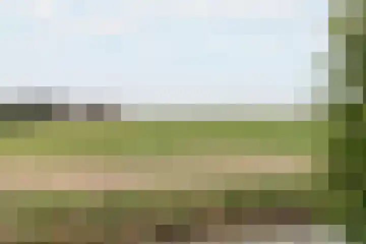 Boontjes 4 Harlingen thumbnail 56
