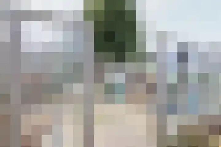 Boontjes 4 Harlingen thumbnail 59