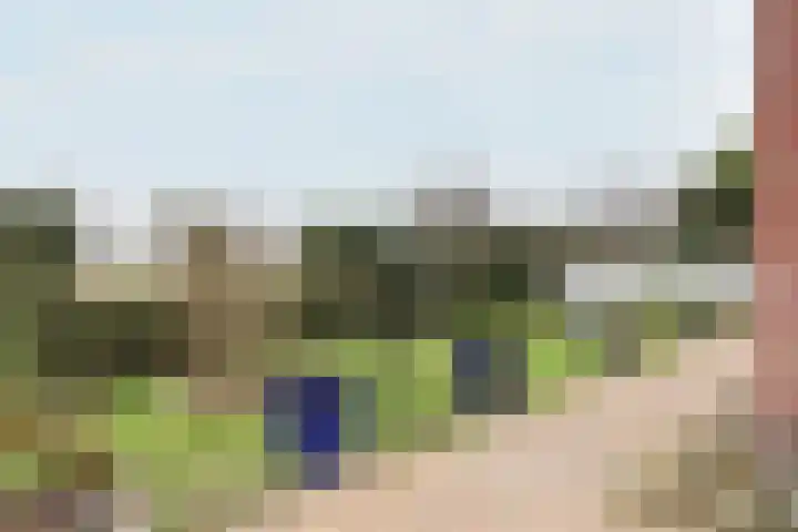 Boontjes 4 Harlingen thumbnail 61