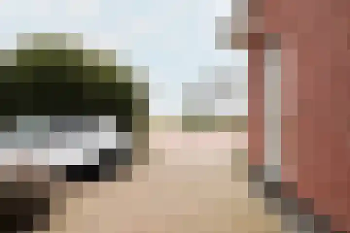 Boontjes 4 Harlingen thumbnail 64