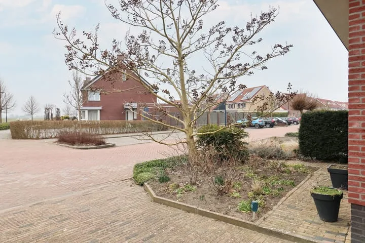 Boontjes 4 Harlingen thumbnail 65