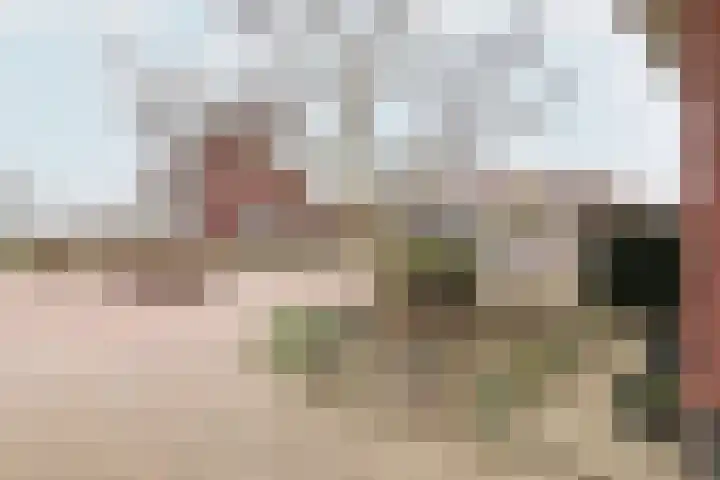 Boontjes 4 Harlingen thumbnail 65
