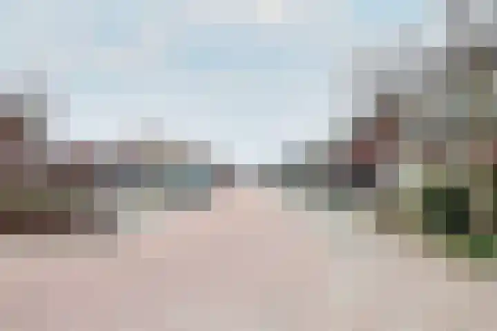Boontjes 4 Harlingen thumbnail 66