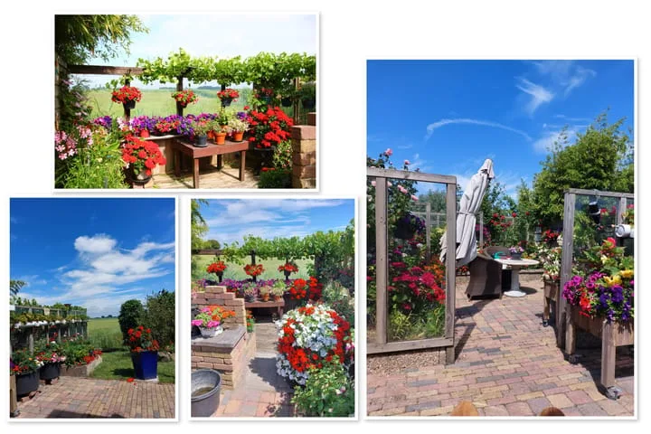 Boontjes 4 Harlingen thumbnail 67