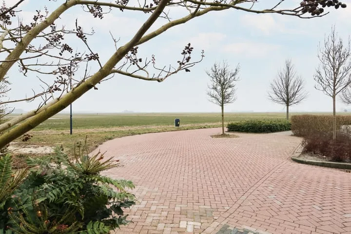 Boontjes 4 Harlingen thumbnail 7