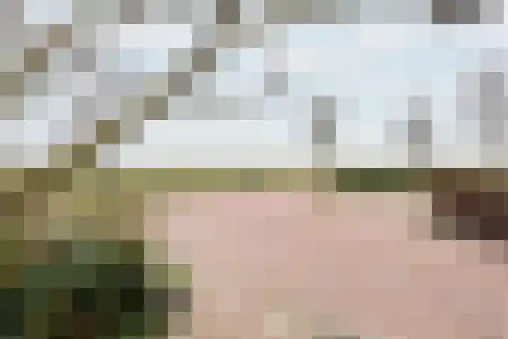 Boontjes 4 Harlingen thumbnail 7