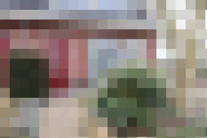 Boontjes 4 Harlingen thumbnail 8