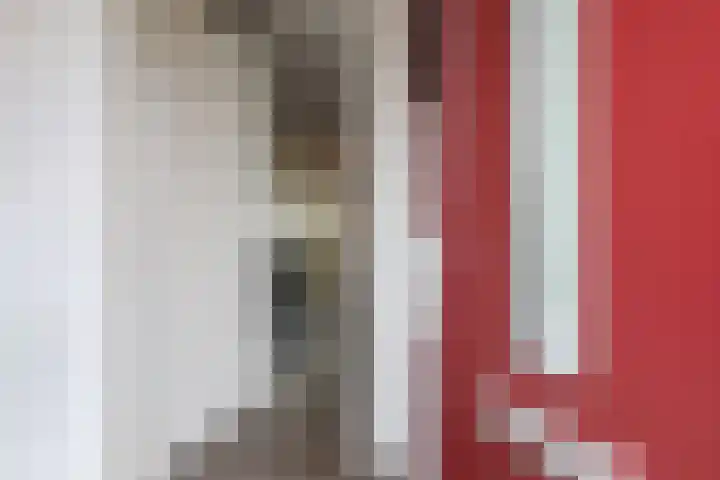 Boontjes 4 Harlingen thumbnail 9