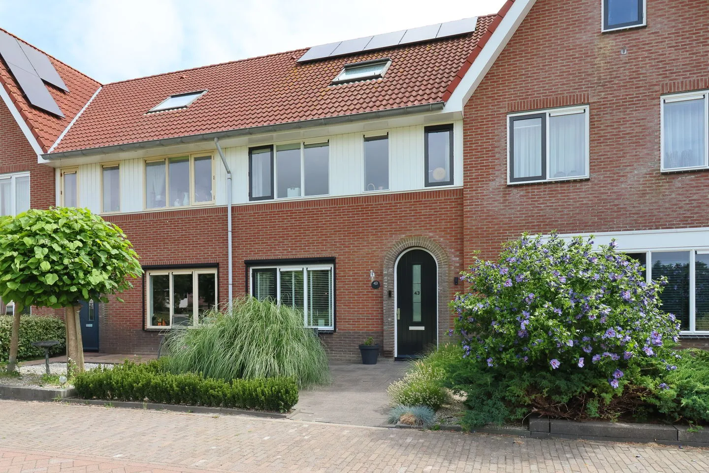 Boontjes 43 Harlingen foto 2