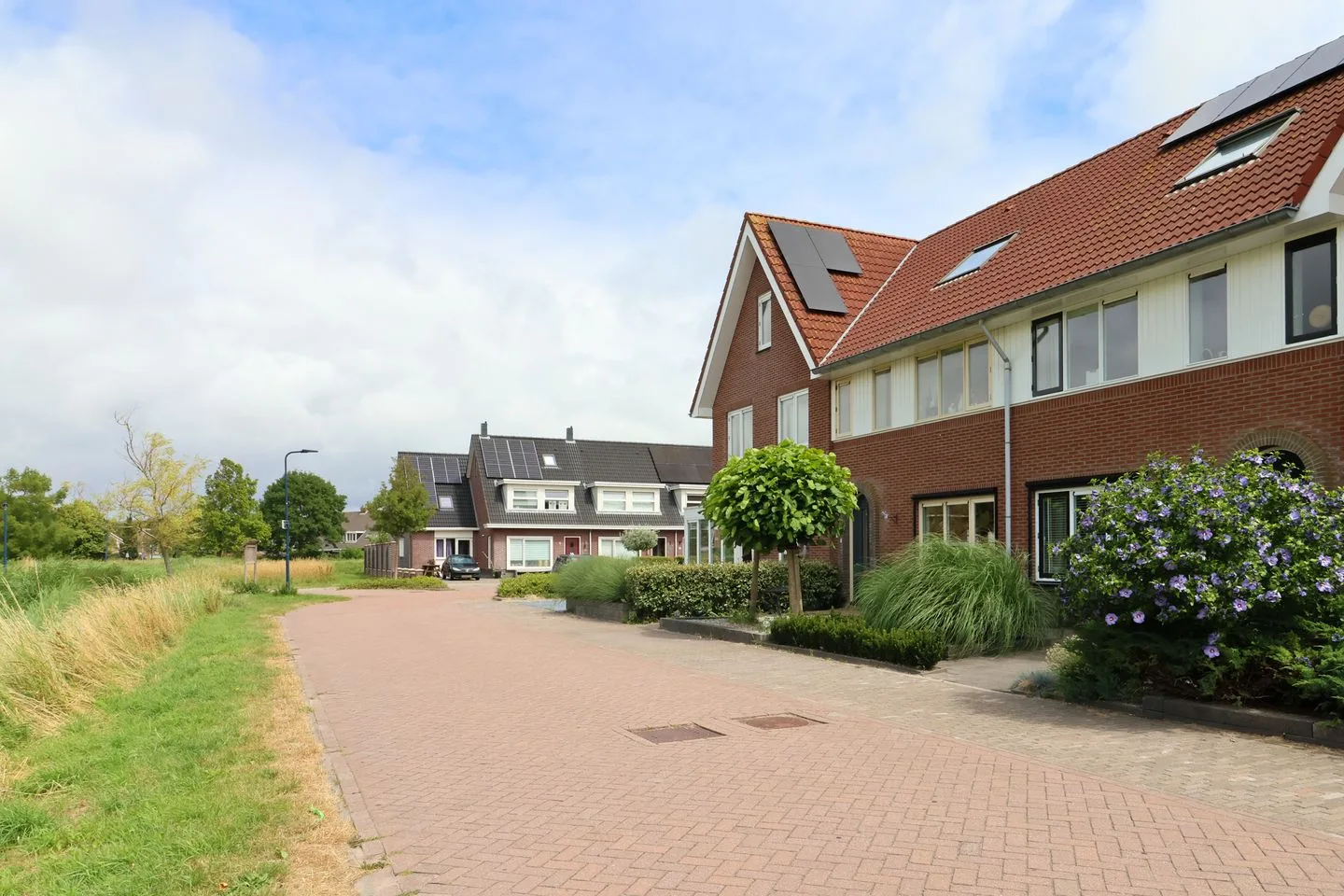 Boontjes 43 Harlingen foto 3