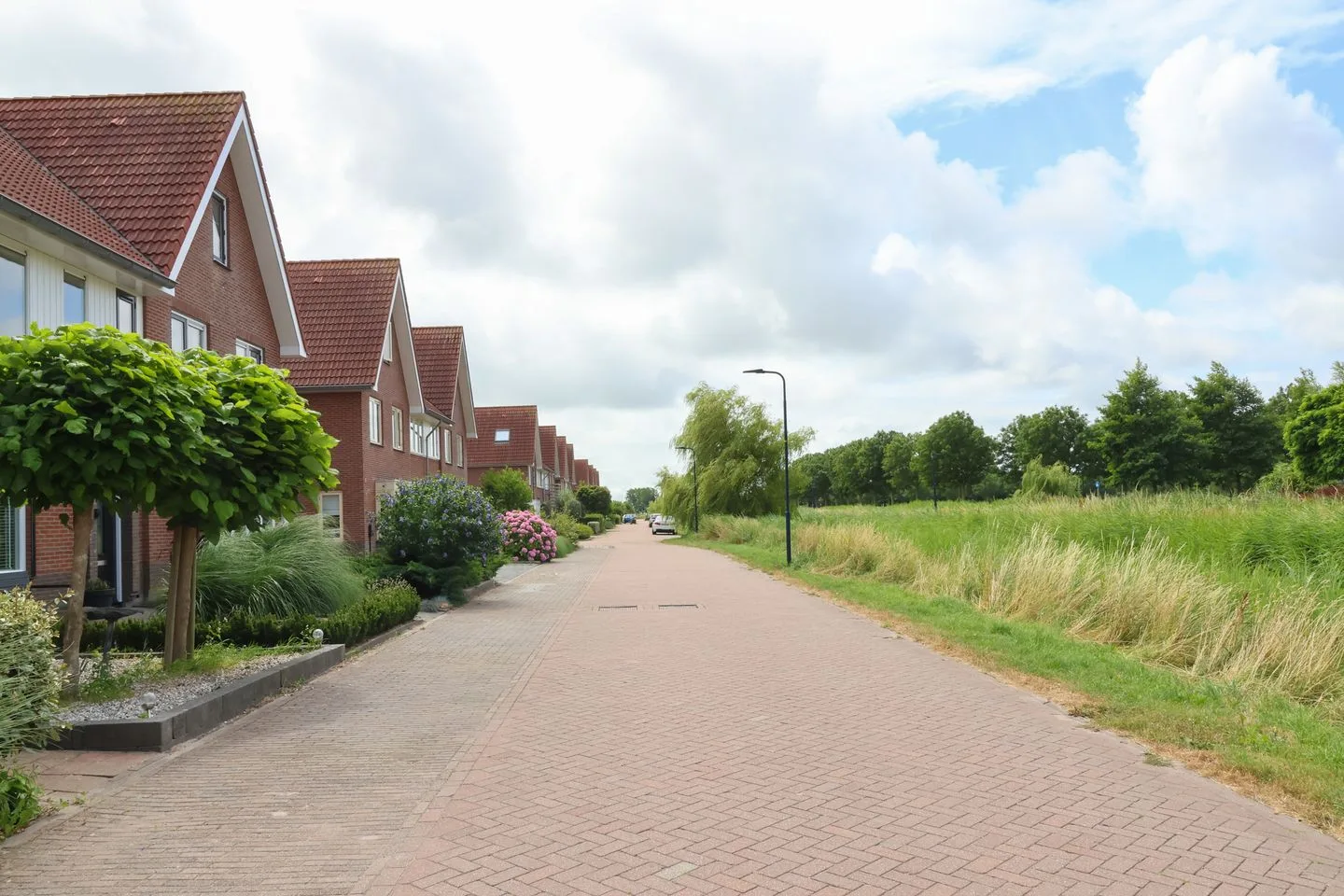 Boontjes 43 Harlingen thumbnail 4