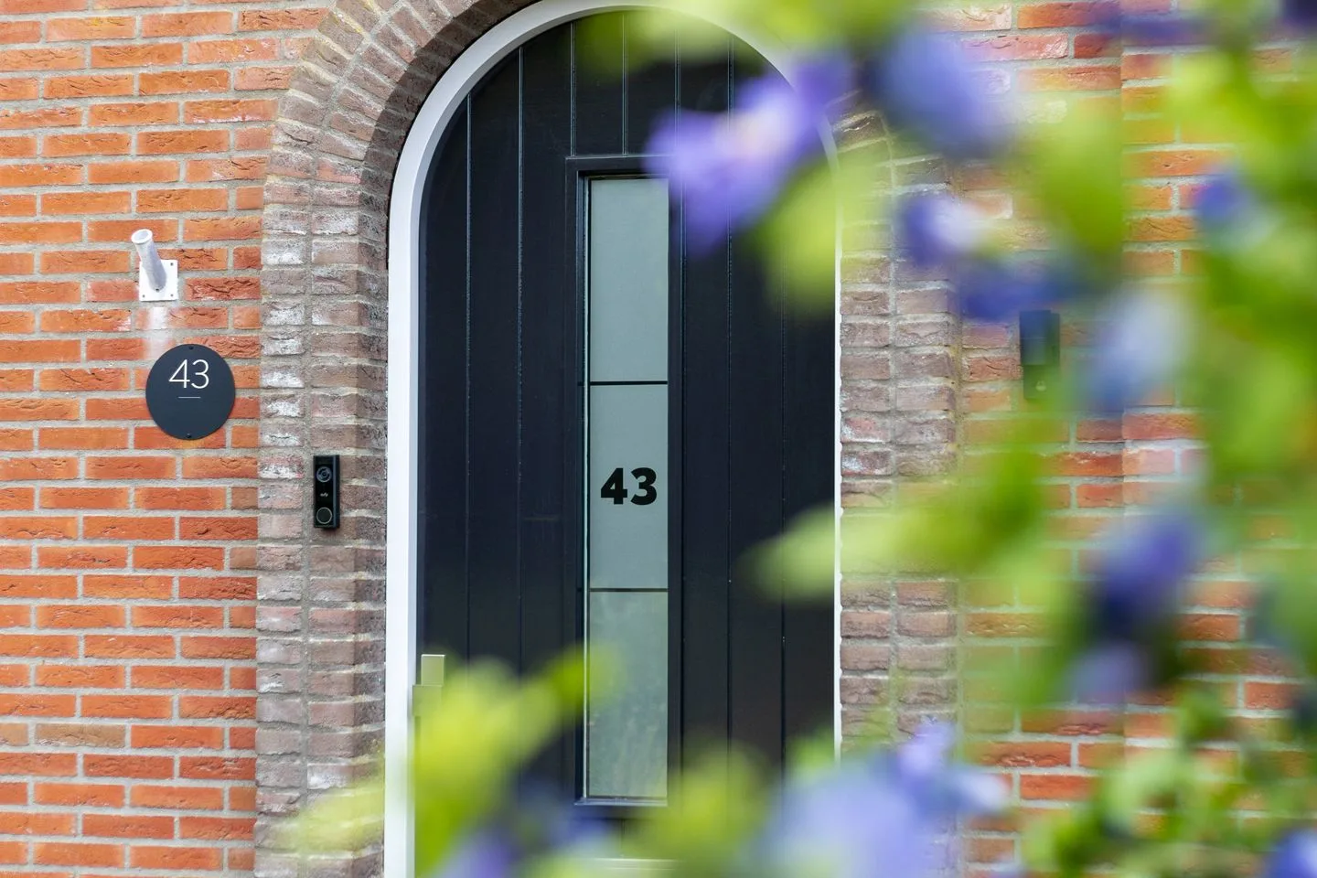 Boontjes 43 Harlingen thumbnail 7