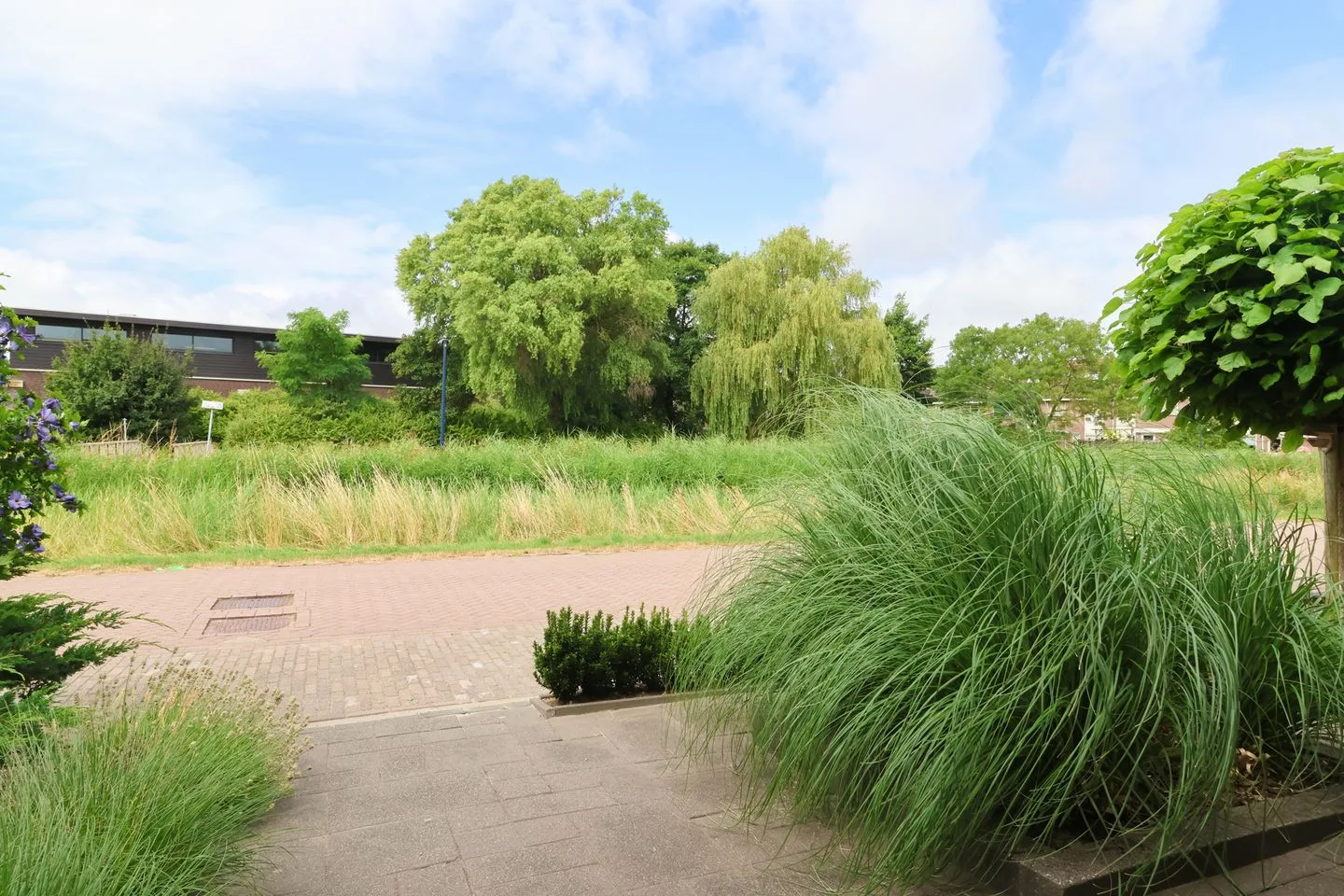 Boontjes 43 Harlingen thumbnail 8