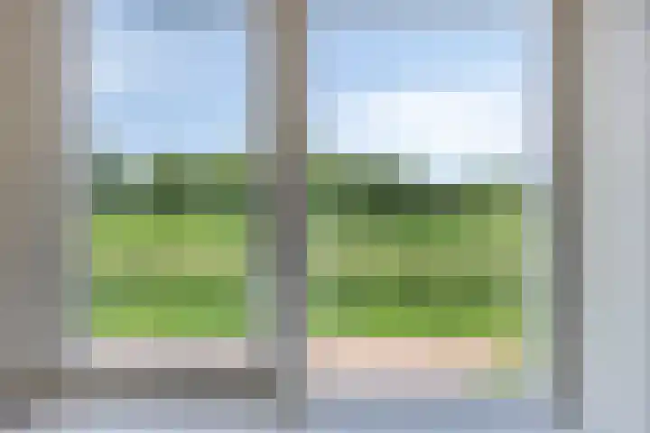 Boontjes 63 Harlingen thumbnail 38
