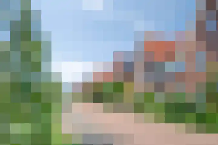 Boontjes 63 Harlingen thumbnail 6