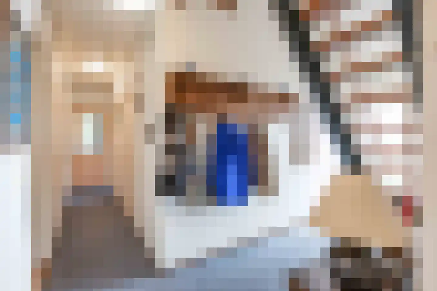 Boonweg 4 St.-Jacobiparochie thumbnail 12