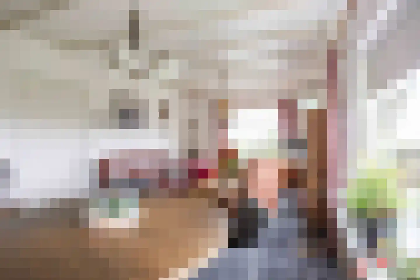 Boonweg 4 St.-Jacobiparochie thumbnail 17
