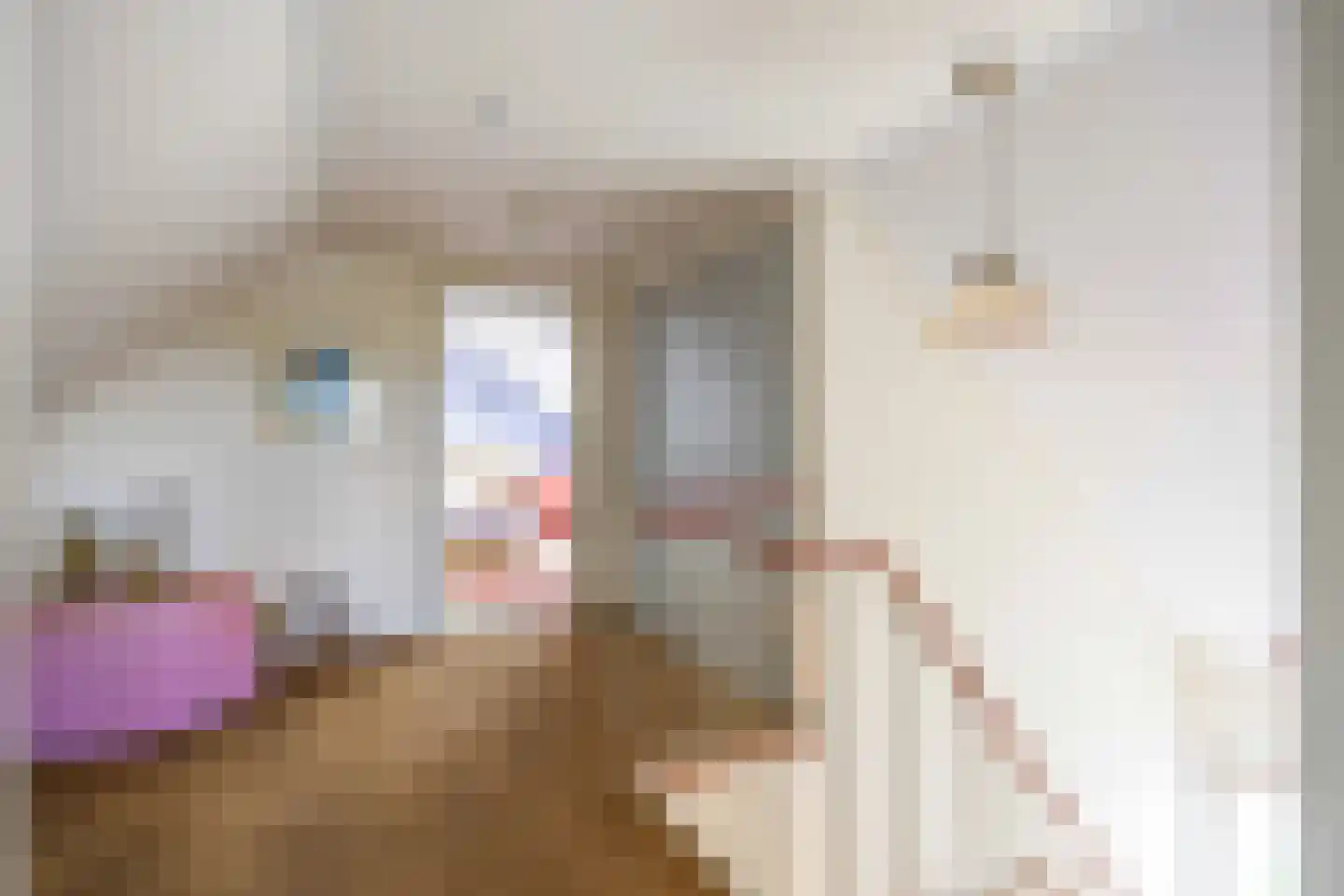Boonweg 4 St.-Jacobiparochie thumbnail 48