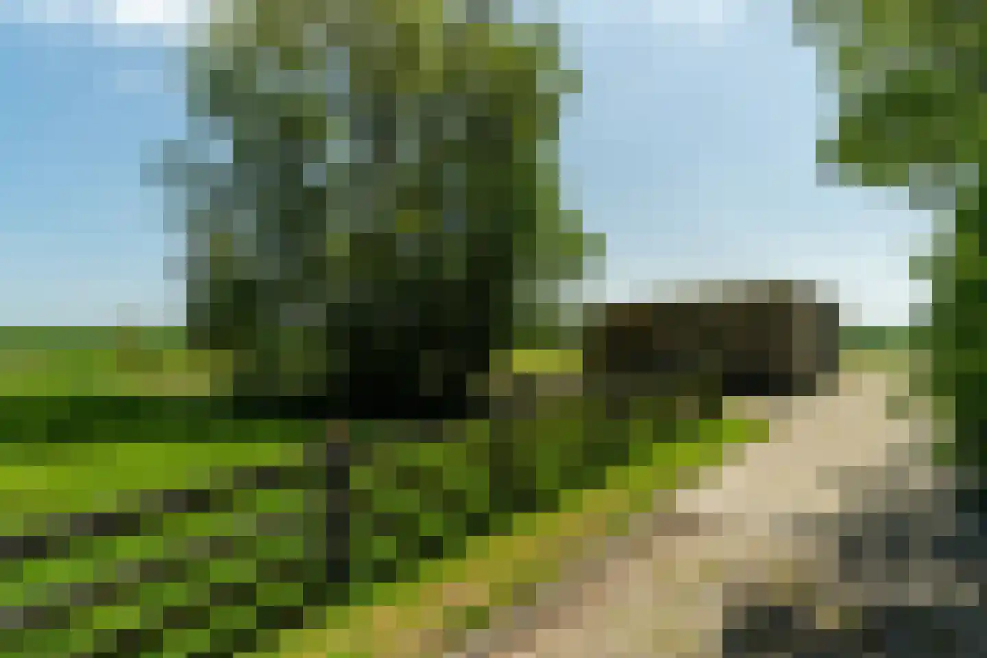 Boonweg 4 St.-Jacobiparochie thumbnail 60