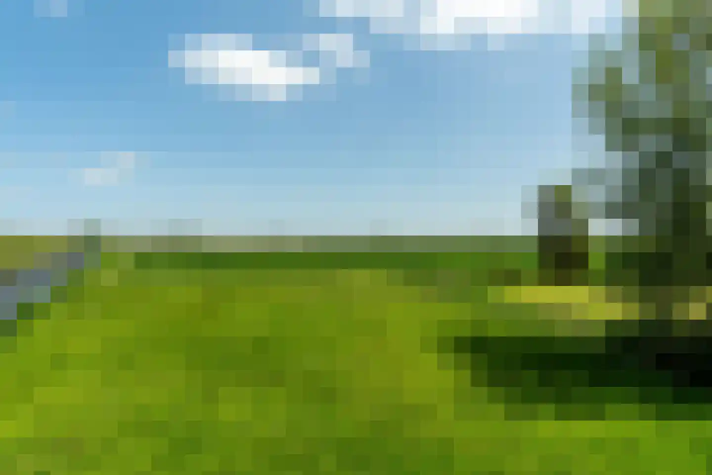 Boonweg 4 St.-Jacobiparochie thumbnail 61