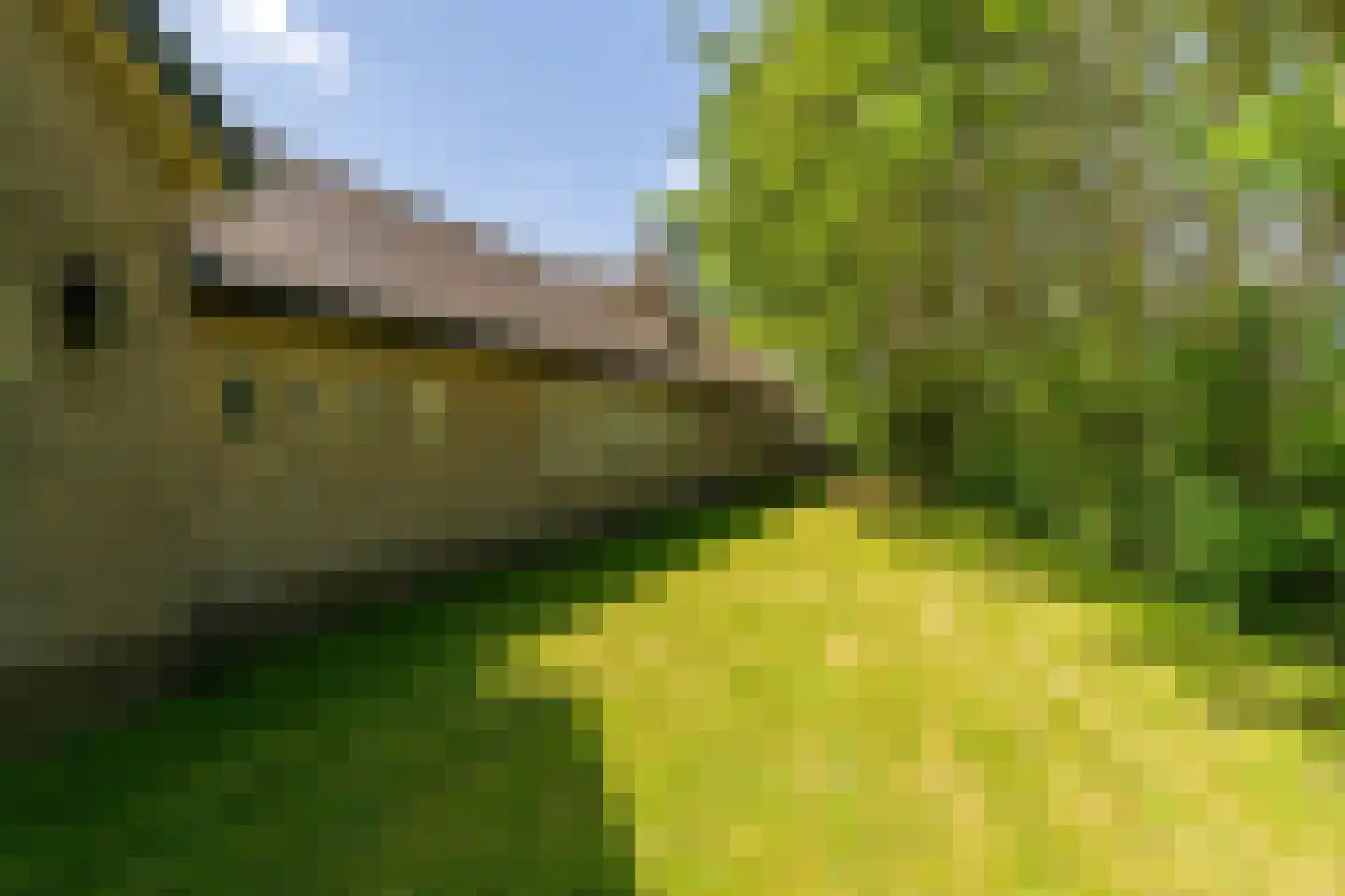 Boonweg 4 St.-Jacobiparochie thumbnail 62