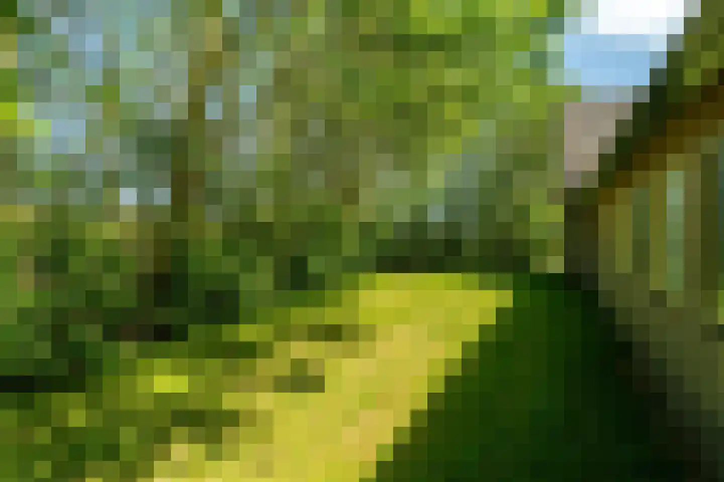Boonweg 4 St.-Jacobiparochie thumbnail 63