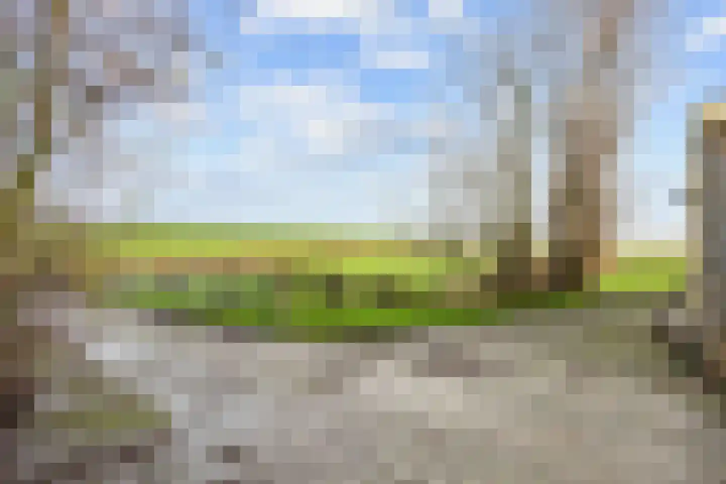 Boonweg 4 St.-Jacobiparochie thumbnail 64