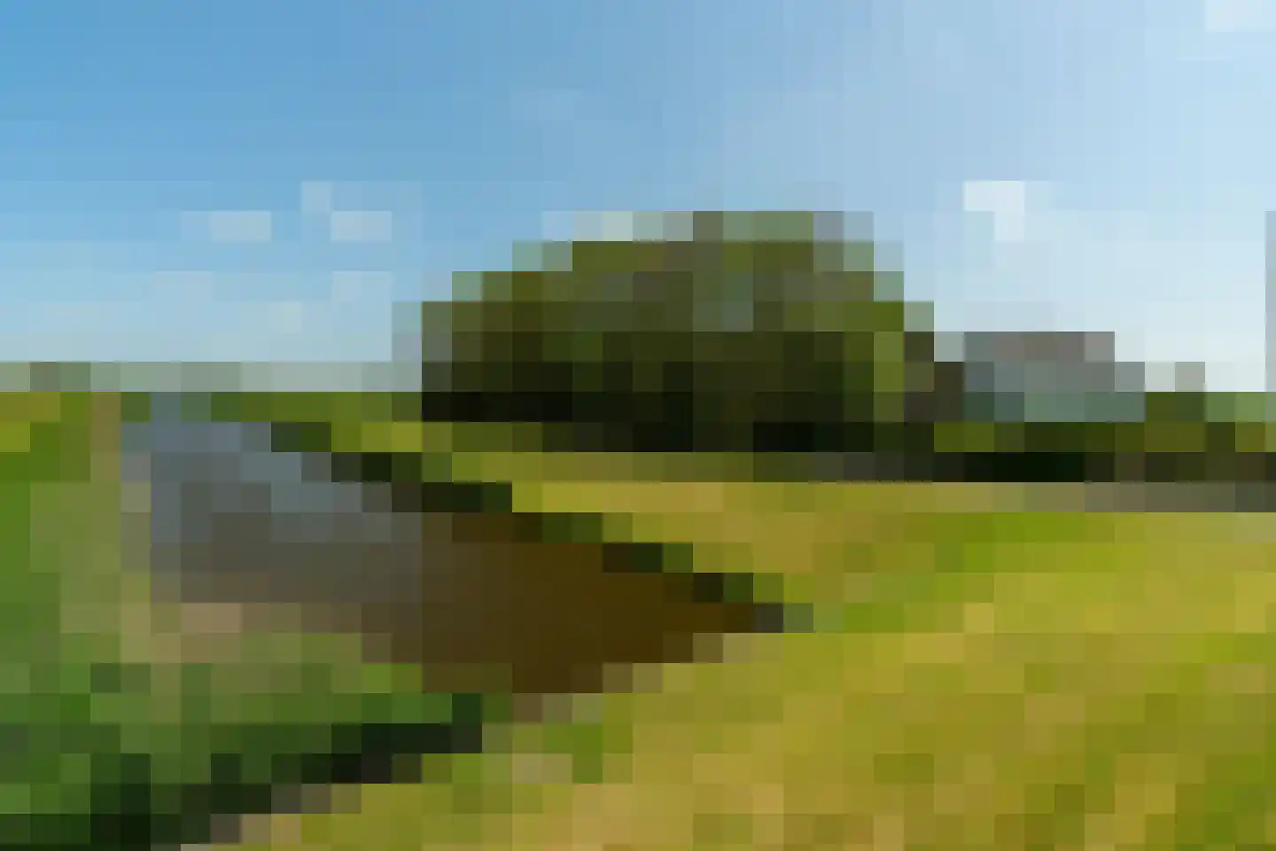 Boonweg 4 St.-Jacobiparochie thumbnail 65